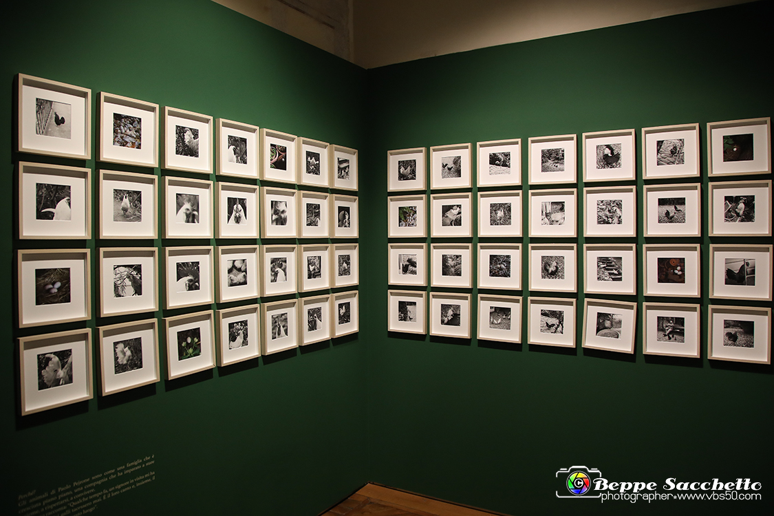 VBS_1327 - Castello di Miradolo - Mostra Oltre il giardino l'Abbecedario di paolo Pejrone.jpg